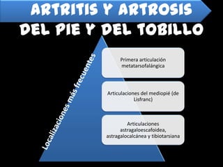 Artritis y artrosis del pie y del tobillo<br />Localizaciones más frecuentes<br />