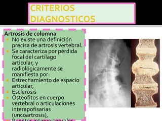 Artrosis de columna
  No existe una definición
   precisa de artrosis vertebral.
  Se caracteriza por pérdida
   focal del cartílago
   articular, y
   radiológicamente se
   manifiesta por:
  Estrechamiento de espacio
   articular,
  Esclerosis
  Osteofitos en cuerpo
   vertebral o articulaciones
   interapofisarias
   (uncoartrosis),
 