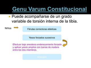      Puede acompañarse de un grado
        variable de torsión interna de la tibia.
Niños                Férulas correctoras elásticas


                       Yesos forzados sucesivos


        Efectuar bajo anestesia enderezamiento forzado
        y aplicar yesos amplios con barras de madera
        entre los dos miembros.


                               Grapajes
 