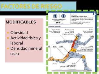 MODIFICABLES

   Obesidad
   Actividad fisica y
    laboral
   Densidad mineral
    osea
 
