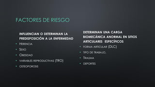 FACTORES DE RIESGO
INFLUENCIAN O DETERMINAN LA
PREDISPOSICIÓN A LA ENFERMEDAD
• HERENCIA
• SEXO
• OBESIDAD
• VARIABLES REPRODUCTIVAS (TRO)
• OSTEOPOROSIS
DETERMINAN UNA CARGA
BIOMECÁNICA ANORMAL EN SITIOS
ARTICULARES ESPECÍFICOS
• FORMA ARTICULAR (DLC)
• TIPO DE TRABAJO,
• TRAUMA
• DEPORTES
 