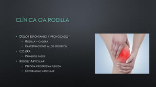 CLÍNICA OA RODILLA
• DOLOR ESPONTANEO Y PROVOCADO
• RODILLA – CADERA
• EXACERBACIONES A LOS ESFUERZOS
• COJERA
• PRIMEROS PASOS
• RIGIDEZ ARTICULAR
• PÉRDIDA PROGRESIVA FLEXIÓN
• DEFORMIDAD ARTICULAR
 