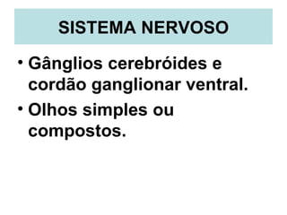 SISTEMA NERVOSO <ul><li>Gânglios cerebróides e cordão ganglionar ventral. </li></ul><ul><li>Olhos simples ou compostos. </...