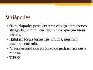 Miriápodes
• Os miriápodes possuem uma cabeça e um tronco
  alongado, com muitos segmentos, que possuem
  pernas.
• Habitam locais terrestres úmidos, pois não
  possuem cutícula.
• Vivem escondidos embaixo de pedras, troncos e
  rochas.
• TIPOS
 