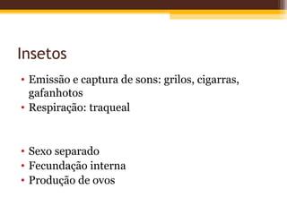 Insetos
• Emissão e captura de sons: grilos, cigarras,
  gafanhotos
• Respiração: traqueal


• Sexo separado
• Fecundação interna
• Produção de ovos
 