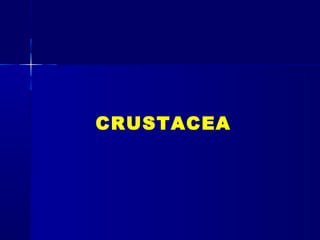 CRUSTACEA
 