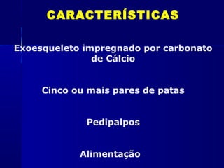 CARACTERÍSTICAS

Exoesqueleto impregnado por carbonato
               de Cálcio


     Cinco ou mais pares de patas


             Pedipalpos


            Alimentação
 