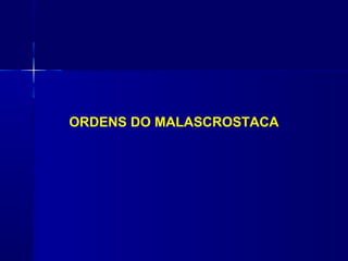 ORDENS DO MALASCROSTACA
 