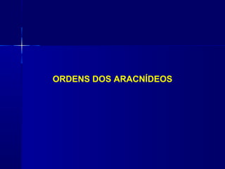 ORDENS DOS ARACNÍDEOS
 