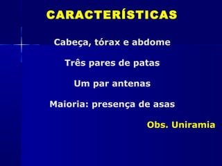 CARACTERÍSTICAS

Cabeça, tórax e abdome

   Três pares de patas

    Um par antenas

Maioria: presença de asas

                   Obs. Uniramia
 