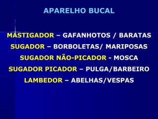 APARELHO BUCAL


MASTIGADOR – GAFANHOTOS / BARATAS
SUGADOR – BORBOLETAS/ MARIPOSAS
  SUGADOR NÃO-PICADOR - MOSCA
SUGADOR PICADOR – PULGA/BARBEIRO
   LAMBEDOR – ABELHAS/VESPAS
 