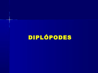 DIPLÓPODES
 