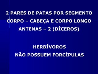 2 PARES DE PATAS POR SEGMENTO
CORPO – CABEÇA E CORPO LONGO
    ANTENAS – 2 (DÍCEROS)



         HERBÍVOROS
   NÃO POSSUEM FORCÍPULAS
 