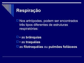 Respiração

 Nos artrópodes, podem ser encontrados
  três tipos diferentes de estruturas
  respiratórias:

 • as brânquias
 • as traquéias
 as filotraquéias ou pulmões foliáceos
 