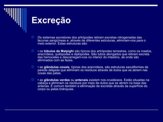 Excreção
   Os sistemas excretores dos artrópodes retiram excretas nitrogenadas das
    lacunas sangüíneas e, através de diferentes estruturas, eliminam-nos para o
    meio exterior. Estas estruturas são:

   • os túbulos de Malpighi são típicos dos artrópodes terrestres, como os insetos,
    aracnídeos, quilópodes e diplópodes. São tubos alongados que retiram excreta
    das hemoceles e descarregam-nos no interior do intestino, de onde são
    eliminados com as fezes.

   • as glândulas coxais, típicas dos aracnídeos, são estruturas saculiformes de
    parede delgada que eliminam os resíduos através de dutos que se abrem nas
    coxas das patas.

   • as glândulas verdes ou antenais existem nos crustáceos. Estão situadas na
    cabeça e eliminam os resíduos por meio de dutos que se abrem na base das
    antenas. É comum também a eliminação de excretas através da superfície do
    corpo ou pelas brânquias.
 