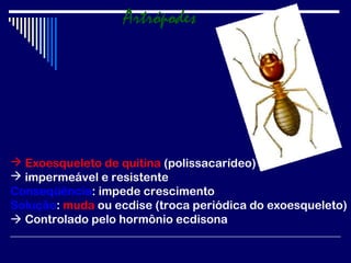 Artrópodes




 Exoesqueleto de quitina (polissacarídeo)
 impermeável e resistente
Conseqüência: impede crescimento
Solução: muda ou ecdise (troca periódica do exoesqueleto)
 Controlado pelo hormônio ecdisona
 