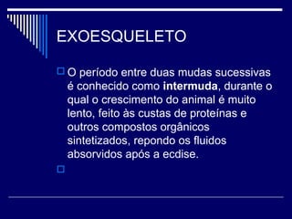 EXOESQUELETO

 O período entre duas mudas sucessivas
    é conhecido como intermuda, durante o
    qual o crescimento do animal é muito
    lento, feito às custas de proteínas e
    outros compostos orgânicos
    sintetizados, repondo os fluidos
    absorvidos após a ecdise.

 