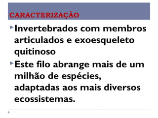 CARACTERIZAÇÃO
Invertebrados
com membros
articulados e exoesqueleto
quitinoso
Este filo abrange mais de um
milhão de espécies,
adaptadas aos mais diversos
ecossistemas.