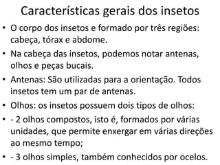 Características gerais dos insetos
• O corpo dos insetos e formado por três regiões:
cabeça, tórax e abdome.
• Na cabeça das insetos, podemos notar antenas,
olhos e peças bucais.
• Antenas: São utilizadas para a orientação. Todos
insetos tem um par de antenas.
• Olhos: os insetos possuem dois tipos de olhos:
• - 2 olhos compostos, isto é, formados por várias
unidades, que permite enxergar em várias direções
ao mesmo tempo;
• - 3 olhos simples, também conhecidos por ocelos.

 