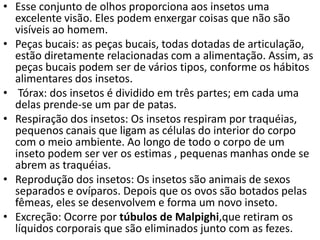 • Esse conjunto de olhos proporciona aos insetos uma
excelente visão. Eles podem enxergar coisas que não são
visíveis ao homem.
• Peças bucais: as peças bucais, todas dotadas de articulação,
estão diretamente relacionadas com a alimentação. Assim, as
peças bucais podem ser de vários tipos, conforme os hábitos
alimentares dos insetos.
• Tórax: dos insetos é dividido em três partes; em cada uma
delas prende-se um par de patas.
• Respiração dos insetos: Os insetos respiram por traquéias,
pequenos canais que ligam as células do interior do corpo
com o meio ambiente. Ao longo de todo o corpo de um
inseto podem ser ver os estimas , pequenas manhas onde se
abrem as traquéias.
• Reprodução dos insetos: Os insetos são animais de sexos
separados e ovíparos. Depois que os ovos são botados pelas
fêmeas, eles se desenvolvem e forma um novo inseto.
• Excreção: Ocorre por túbulos de Malpighi,que retiram os
líquidos corporais que são eliminados junto com as fezes.

 