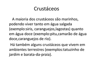 Crustáceos
A maioria dos crustáceos são marinhos,
podendo viver tanto em água salgada
(exemplo:siris, caranguejos,lagostas) quanto
em água doce (exemplo:pitu,camarão de água
doce,caranguejos de rio).
Há também alguns crustáceos que vivem em
ambientes terrestres (exemplos:tatuzinho de
jardim e barata-da-praia).

 