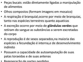 • Peças bucais: estão diretamente ligadas a manipulação
de alimentos
• Olhos compostos (formam imagens em mosaico)
• A respiração é branquial,ocorre por meio de branquias,
tanto nas espécies terrestres quanto aquaticas
• A excreção ocorre por meio de glândulas verdes que
retiram do sangue as substâncias a serem excretadas
do corpo
• A reprodução é de sexos separados,na maioria das
espécies a fecundação é interna,e de desenvolvimento
indireto
• Possuem a capacidade de autoamputação de suas
patas toraxidas e de suas antenas

 