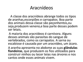 Aracnídeos
A classe dos aracnídeos abrange todos os tipos
de aranhas,escorpiões e carrapatos. Boa parte
dos animais dessa classe são peçonhentos,ou
seja,produzem veneno,e boa parte desses podem
ser letais.
A maioria dos aracnídeos é carnívora. Alguns
desses animais são parasitas do sangue de
vertebrados, como os carrapatos. A sarna ou
escabiose é causada por um aracnídeo, um ácaro.
A aranha apresenta no abdome as suas glândulas
fiandeiras, que produzem os fios utilizados para
construir ninhos ou tecer teias nas árvores e nos
cantos onde esses animais vivem.

 