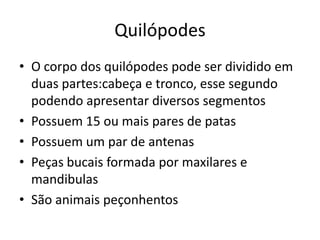 Quilópodes
• O corpo dos quilópodes pode ser dividido em
duas partes:cabeça e tronco, esse segundo
podendo apresentar diversos segmentos
• Possuem 15 ou mais pares de patas
• Possuem um par de antenas
• Peças bucais formada por maxilares e
mandibulas
• São animais peçonhentos

 
