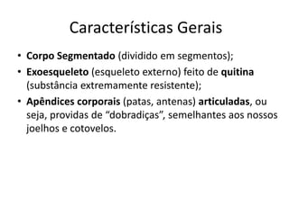 Características Gerais
• Corpo Segmentado (dividido em segmentos);
• Exoesqueleto (esqueleto externo) feito de quitina
(substância extremamente resistente);
• Apêndices corporais (patas, antenas) articuladas, ou
seja, providas de “dobradiças”, semelhantes aos nossos
joelhos e cotovelos.

 