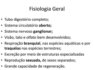 Fisiologia Geral
•
•
•
•
•

Tubo digestório completo;
Sistema circulatório aberto;
Sistema nervoso ganglionar;
Visão, tato e olfato bem desenvolvidos;
Respiração branquial, nas espécies aquáticas e por
traquéias nas espécies terrestres;
• Excreção por meio de estruturas especializadas
• Reprodução sexuada, de sexos separados;
• Grande capacidade de regeneração.

 