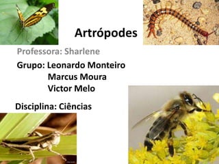 Artrópodes
Professora: Sharlene
Grupo: Leonardo Monteiro
Marcus Moura
Victor Melo
Disciplina: Ciências
 