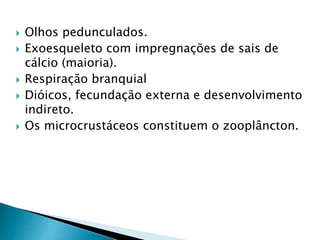  Olhos pedunculados.
 Exoesqueleto com impregnações de sais de
cálcio (maioria).
 Respiração branquial
 Dióicos, fecundação externa e desenvolvimento
indireto.
 Os microcrustáceos constituem o zooplâncton.
 