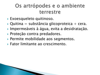  Exoesqueleto quitinoso.
 Quitina = substância glicoproteica + cera.
 Impermeáveis à água, evita a desidratação.
 Proteção contra predadores.
 Permite mobilidade aos segmentos.
 Fator limitante ao crescimento.
 