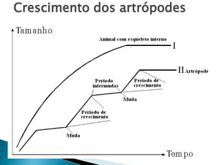 Crescimento dos artrópodes
 