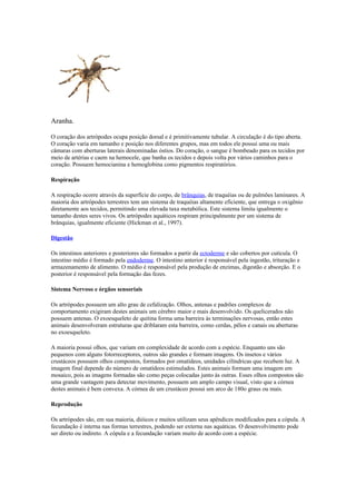 Aranha.
O coração dos artrópodes ocupa posição dorsal e é primitivamente tubular. A circulação é do tipo aberta.
O coração varia em tamanho e posição nos diferentes grupos, mas em todos ele possui uma ou mais
câmaras com aberturas laterais denominadas óstios. Do coração, o sangue é bombeado para os tecidos por
meio de artérias e caem na hemocele, que banha os tecidos e depois volta por vários caminhos para o
coração. Possuem hemocianina e hemoglobina como pigmentos respiratórios.
Respiração
A respiração ocorre através da superfície do corpo, de brânquias, de traquéias ou de pulmões laminares. A
maioria dos artrópodes terrestres tem um sistema de traquéias altamente eficiente, que entrega o oxigênio
diretamente aos tecidos, permitindo uma elevada taxa metabólica. Este sistema limita igualmente o
tamanho destes seres vivos. Os artrópodes aquáticos respiram principalmente por um sistema de
brânquias, igualmente eficiente (Hickman et al., 1997).
Digestão
Os intestinos anteriores e posteriores são formados a partir da ectoderme e são cobertos por cutícula. O
intestino médio é formado pela endoderme. O intestino anterior é responsável pela ingestão, trituração e
armazenamento de alimento. O médio é responsável pela produção de enzimas, digestão e absorção. E o
posterior é responsável pela formação das fezes.
Sistema Nervoso e órgãos sensoriais
Os artrópodes possuem um alto grau de cefalização. Olhos, antenas e padrões complexos de
comportamento exigiram destes animais um cérebro maior e mais desenvolvido. Os quelicerados não
possuem antenas. O exoesqueleto de quitina forma uma barreira às terminações nervosas, então estes
animais desenvolveram estruturas que driblaram esta barreira, como cerdas, pêlos e canais ou aberturas
no exoesqueleto.
A maioria possui olhos, que variam em complexidade de acordo com a espécie. Enquanto uns são
pequenos com alguns fotorreceptores, outros são grandes e formam imagens. Os insetos e vários
crustáceos possuem olhos compostos, formados por omatídeos, unidades cilíndricas que recebem luz. A
imagem final depende do número de omatídeos estimulados. Estes animais formam uma imagem em
mosaico, pois as imagens formadas são como peças colocadas junto às outras. Esses olhos compostos são
uma grande vantagem para detectar movimento, possuem um amplo campo visual, visto que a córnea
destes animais é bem convexa. A córnea de um crustáceo possui um arco de 180o graus ou mais.
Reprodução
Os artrópodes são, em sua maioria, dióicos e muitos utilizam seus apêndices modificados para a cópula. A
fecundação é interna nas formas terrestres, podendo ser externa nas aquáticas. O desenvolvimento pode
ser direto ou indireto. A cópula e a fecundação variam muito de acordo com a espécie.
 