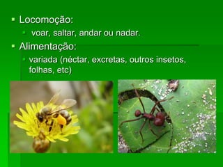  Locomoção:
 voar, saltar, andar ou nadar.
 Alimentação:
 variada (néctar, excretas, outros insetos,
folhas, etc)
 