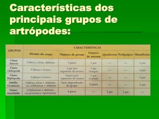 Características dos
principais grupos de
artrópodes:
 