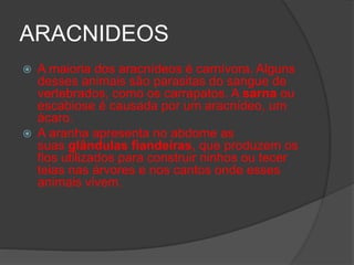 ARACNIDEOS
 A maioria dos aracnídeos é carnívora. Alguns
desses animais são parasitas do sangue de
vertebrados, como os carrapatos. A sarna ou
escabiose é causada por um aracnídeo, um
ácaro.
 A aranha apresenta no abdome as
suas glândulas fiandeiras, que produzem os
fios utilizados para construir ninhos ou tecer
teias nas árvores e nos cantos onde esses
animais vivem.
 