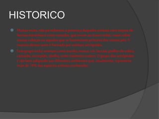 HISTORICO
 Muitasvezes,não percebemosa presençadaquelesanimaiscom corpos de
formasestranhase cores variadas,que vivemao nossoredor, voamsobre
nossascabeças ou aquelesque selocomovempróximodosnossospés.A
maioriadessessereséformada por animaisartrópodes.
 Essegrupo inclui animaiscomo aranha,mosca, siri,lacraia,piolho-de-cobra,
camarão, escorpião,abelha,entreinúmerosoutros. O grupo dos artrópodes
é tão bemadaptado aos diferentesambientesque, atualmente,representa
maisde 70% dasespéciesanimaisconhecidas.
 
