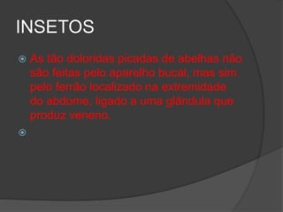 INSETOS
 As tão doloridas picadas de abelhas não
são feitas pelo aparelho bucal, mas sim
pelo ferrão localizado na extremidade
do abdome, ligado a uma glândula que
produz veneno.

 