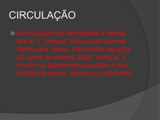 CIRCULAÇÃO
 A circulação dos artrópodes é aberta,
isto é, o "sangue" não circula apenas
dentro dos vasos, mas banha espaços
do corpo do animal. Esse "sangue" é
incolor ou ligeiramente azulado e não
transporta gases, apenas os nutrientes.
 