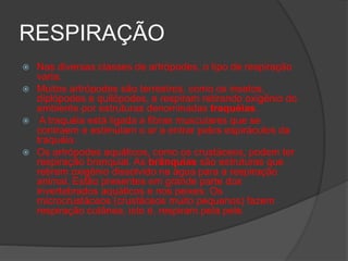 RESPIRAÇÃO
 Nas diversas classes de artrópodes, o tipo de respiração
varia.
 Muitos artrópodes são terrestres, como os insetos,
diplópodes e quilópodes, e respiram retirando oxigênio do
ambiente por estruturas denominadas traquéias.
 A traquéia está ligada a fibras musculares que se
contraem e estimulam o ar a entrar pelos espiráculos da
traquéia.
 Os artrópodes aquáticos, como os crustáceos, podem ter
respiração branquial. As brânquias são estruturas que
retiram oxigênio dissolvido na água para a respiração
animal. Estão presentes em grande parte dos
invertebrados aquáticos e nos peixes. Os
microcrustáceos (crustáceos muito pequenos) fazem
respiração cutânea, isto é, respiram pela pele.
 