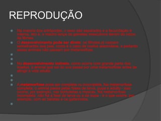 REPRODUÇÃO
 Na maioria dos artrópodes, o sexo são separados e a fecundação é
interna, isto é, o macho lança os gametas masculinos dentro do corpo
da fêmea.
 O desenvolvimento pode ser direto: os filhotes já nascem
semelhantes aos pais, como é o caso de muitos aracnídeos, e portanto
esses animais não passam por metamorfose.


 No desenvolvimento indireto, como ocorre com grande parte dos
insetos, o animal que sai do ovo passa por uma metamorfose antes de
atingir a vida adulta.


 A metamorfose pode ser completa ou incompleta. Na metamorfose
completa, o animal passa pelas fases de larva, pupa e adulto - isso
ocorre, por exemplo, nas borboletas e moscas. Na metamorfose
incompleta, não há a fase de larva ou a de pupa - é o que ocorre, por
exemplo, com as baratas e os gafanhotos.

 