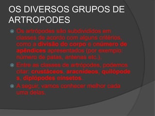 OS DIVERSOS GRUPOS DE
ARTROPODES
 Os artrópodes são subdivididos em
classes de acordo com alguns critérios,
como a divisão do corpo e onúmero de
apêndices apresentados (por exemplo:
número de patas, antenas etc.).
 Entre as classes de artrópodes, podemos
citar: crustáceos, aracnídeos, quilópode
s, diplópodes einsetos.
 A seguir, vamos conhecer melhor cada
uma delas.
 