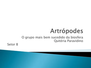 O grupo mais bem sucedido da biosfera
Quitéria Paravidino
Setor B
 