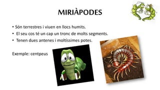 Artròpodes