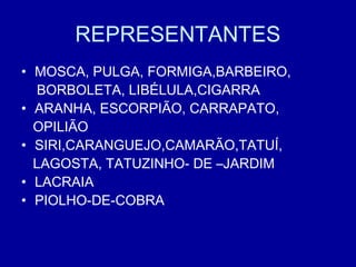 REPRESENTANTES
• MOSCA, PULGA, FORMIGA,BARBEIRO,
BORBOLETA, LIBÉLULA,CIGARRA
• ARANHA, ESCORPIÃO, CARRAPATO,
OPILIÃO
• SIRI,CARANGUEJO,CAMARÃO,TATUÍ,
LAGOSTA, TATUZINHO- DE –JARDIM
• LACRAIA
• PIOLHO-DE-COBRA
 