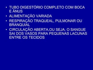 • TUBO DIGESTÓRIO COMPLETO COM BOCA
E ÂNUS
• ALIMENTAÇÃO VARIADA
• RESPIRAÇÃO TRAQUEAL, PULMONAR OU
BRANQUIAL
• CIRCULAÇÃO ABERTA,OU SEJA, O SANGUE
SAI DOS VASOS PARA PEQUENAS LACUNAS
ENTRE OS TECIDOS
 