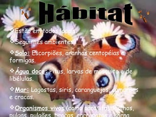 Estão em todos locais.
Seguintes ambientes:
Solo: Escorpiões, aranhas centopéias e
formigas.
Água doce: Pitus, larvas de mosquito e de
libélulas.
Mar: Lagostas, siris, caranguejos, camarões
e cracas.
Organismos vivos (como parasita): Piolhos,

 