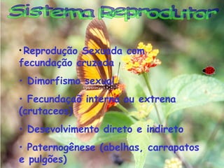 • Reprodução

Sexuada com
fecundação cruzada
• Dimorfismo sexual.
• Fecundaçaõ interna ou extrena
(crutaceos)
• Desevolvimento direto e indireto
• Paternogênese (abelhas, carrapatos
e pulgões)

 